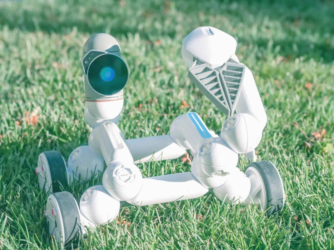 Биоинформатика и искусственный интеллект в геномике